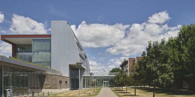 New York college segregates faculty and staff by race for year long New York college segregates faculty and staff by race for year long