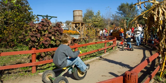 Vala's Pumpkin Patch is a 400-acre pumpkin patch and apple orchard which stays open every day through October 31, 2022.