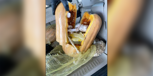 U.S. Customs and Border Protection officers find a pumpkin filled with condoms holding liquid meth during a traffic stop at the Eagle Pass Port of Entry.