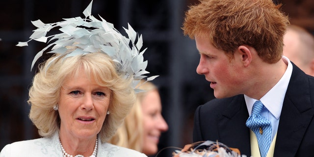 Angela Levin pointed out that Prince Harry once revealed that he loved Camilla "to bits."