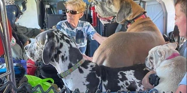 A photo from the cabin of USCG Air Station Clearwater's H60 aircraft shows people and pets rescued from the aftermath of Hurricane Ian.