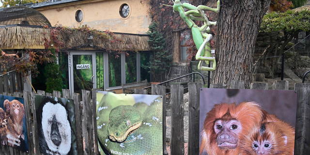The Skansen Aquarium's entrance, part of the zoo on Djurgarden island, where a deadly snake escaped on Saturday via a light fixture in the ceiling of its glass enclosure, in Stockholm, Sweden, Monday Oct. 24, 2022.