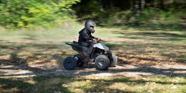 The Cyberquad for Kids was built by Radio Flyer.