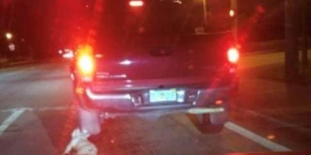 A witness snapped a picture of the French bulldog mix being dragged behind the truck.