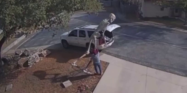 A neighbor's security camera caught the suspect brazenly stealing a 14-foot Halloween decoration.