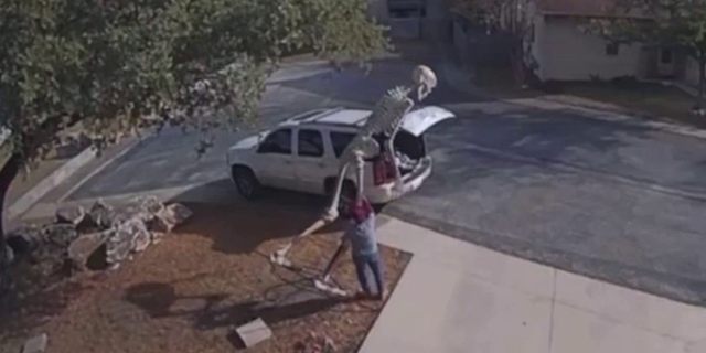 A neighbor's security camera caught the suspect brazenly stealing a 14-foot Halloween decoration.