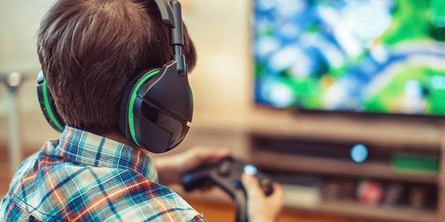 Kids May Like Video Gaming, But Health Experts Fret About The 'fuel 