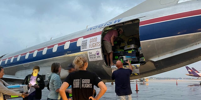 Greater Good team members load shelter dogs onto a flight out of Fort Lauderdale, Florida, on Oct. 2, 2022.