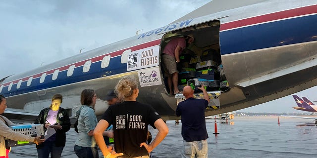 Greater Good team members load shelter dogs onto a flight out of Fort Lauderdale, Florida, on Oct. 2, 2022.