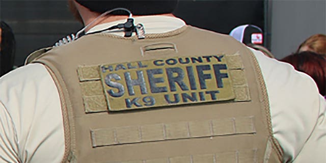This file photo shows a Hall County deputy wearing a K-9 unit vest.