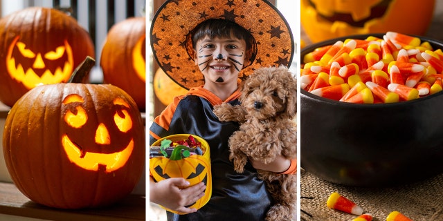 Halloween quiz