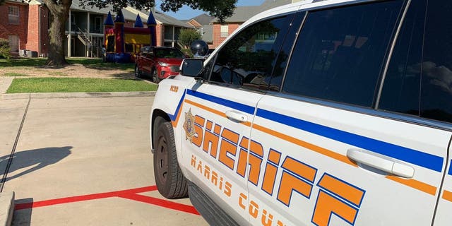 FILE - A Harris County Sheriff's Office cruiser sits in a parking lot.