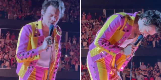 A fan at Harry Styles' concert threw a bottle at the singer, hitting him in the groin in the middle of his Chicago show.