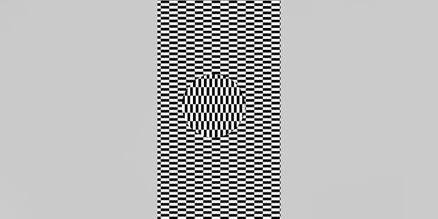 This circle in a rectangle will throw your eyes — and mind — for a curve.