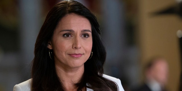 "The threat Big Tech monopolies pose to our democracy is real and serious," Gabbard said, adding that she has "had personal experience with this."