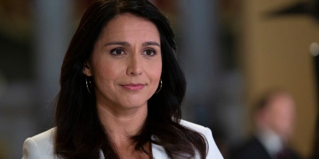 "The threat Big Tech monopolies pose to our democracy is real and serious," Gabbard said, adding that she has "had personal experience with this."