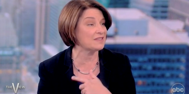Sen. Amy Klobuchar, D-Minn., asks Americans to vote for Democrats "The view."