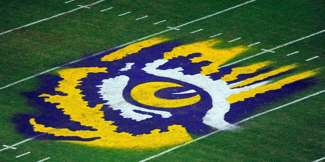 General view of LSU Tigers eye in logo