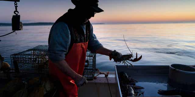 Maine lobstermen are fighting a devastating federal regulation that threatens to eliminate Maine’s multi-generational lobstering heritage.