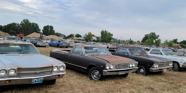 Varios Chevrolet El Caminos forman parte de la colección Milán.