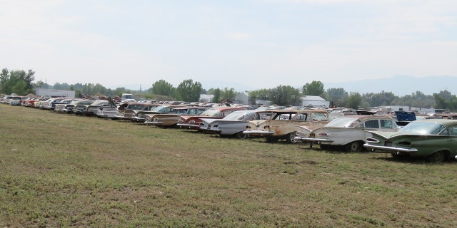 The cars have been taken out of storage and to a single location for the auction.