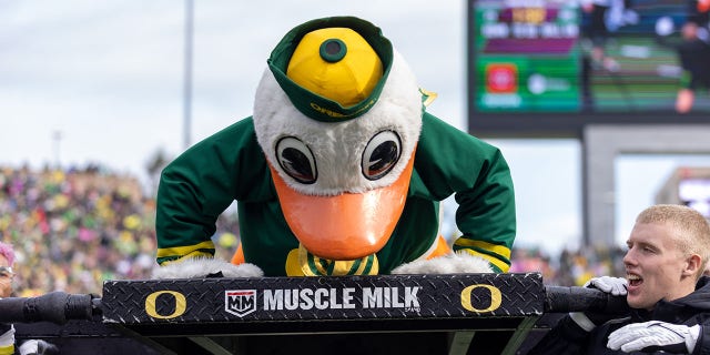 Puddles, the Oregon Ducks mascot, does pushups during the second half at Autzen Stadium on Oct. 22, 2022, in Eugene, Oregon.