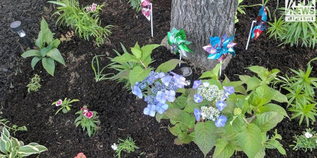 Mays has planted gardens for victims of violent crime around the city since 2015.