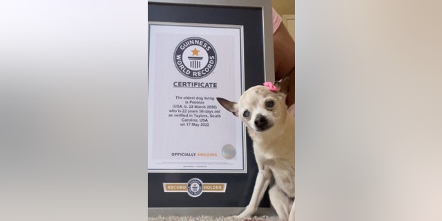Pebbles poses with her Guiness World Record.