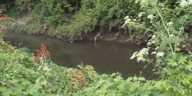 A look at Coldwater Creek in Missouri, which was contaminated with radioactive waste from the World War II era.