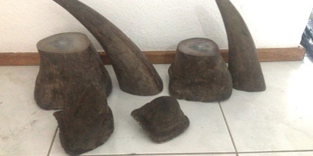 Teo Boon Ching specialized in poaching and transporting rhino horn, ivory, and pangolins.