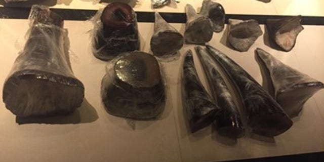 Ching was charged for participating in a conspiracy to traffic in more than 70 kilograms of rhinoceros horns valued at more than $725,000.