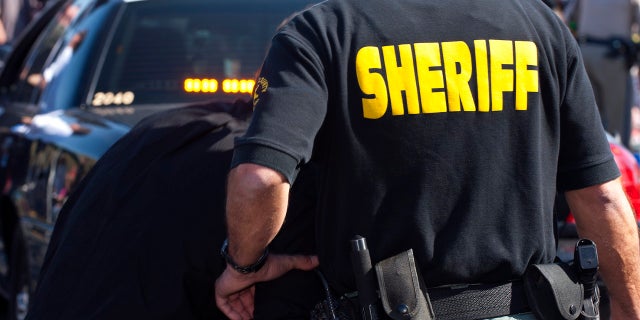 Rearview of a deputy sheriff behind a patrol car.