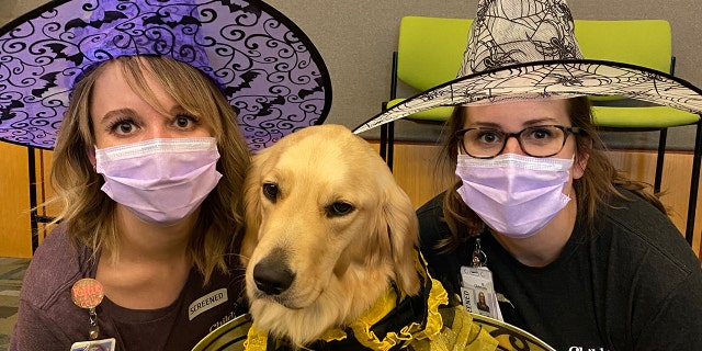 A Spirit Halloween store employee and a general manager share some Halloween fun with a dog dressed in costume.