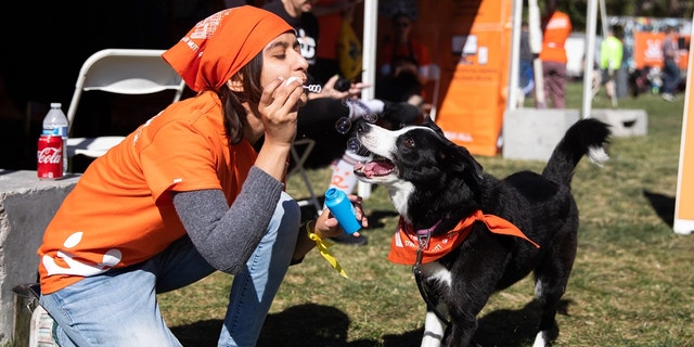 A Best Friends Animal Society member blows bubbles with a pup at the Strut Your Mutt fundraising walk.