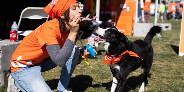 A Best Friends Animal Society member blows bubbles with a pup at the Strut Your Mutt fundraising walk.