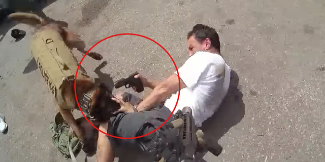 A screenshot of a suspect in Tucson, Arizona, pointing a gun at a police dog's head during an arrest.