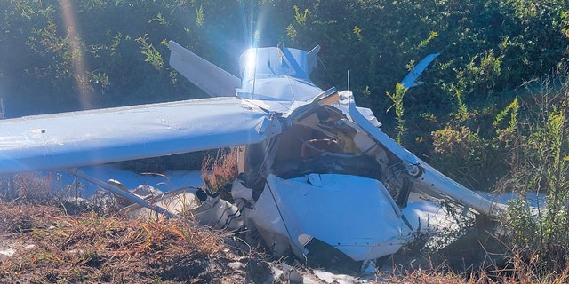 Virginia plane crash kills flight instructor, injures student pilot ...