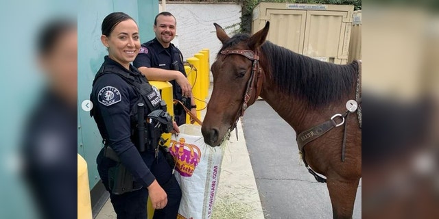 Whittier Police Department officers pose with a horse after its rider was taken into custody for suspect DUI.
