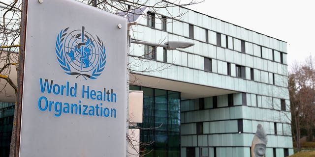 Tuberculosis infected 4.5% more people in 2021 than in 2020. Pictured: A sign of the World Health Organization in front of a building.