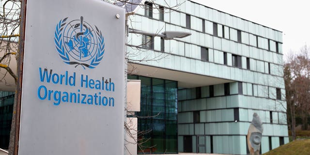 Tuberculosis infected 4.5% more people in 2021 than in 2020. Pictured: A sign of the World Health Organization in front of a building.