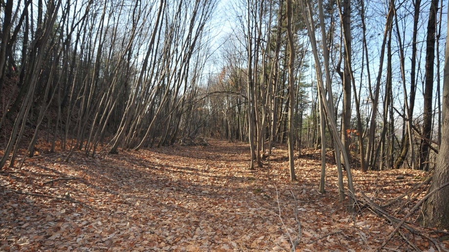 Area where Joan Marie Dymond was found