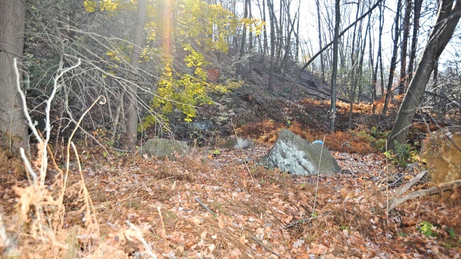 A wooded area where Dymond's remains were found