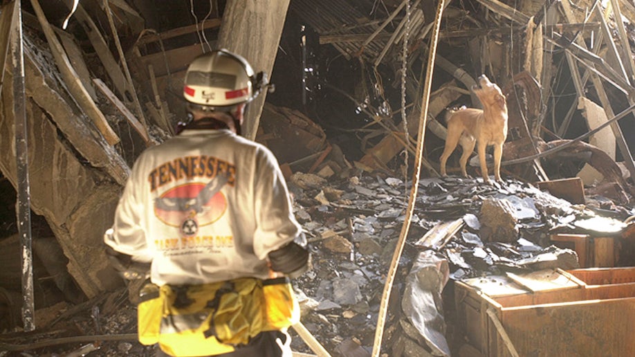 pentagon search and rescue dog September 11 terrorist attack