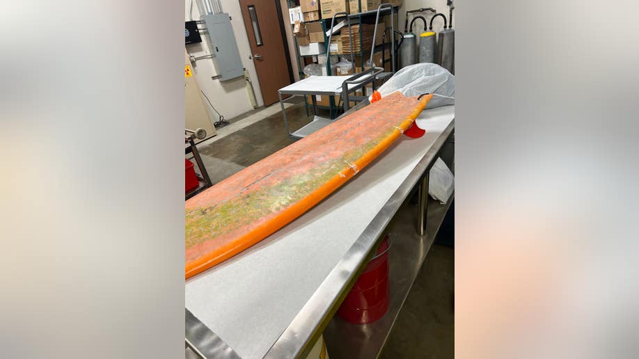 Michael Trainor's surf board being examined after a shark attack