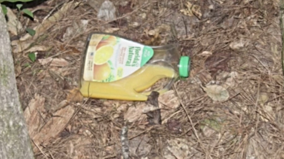 Orange juice in the woods