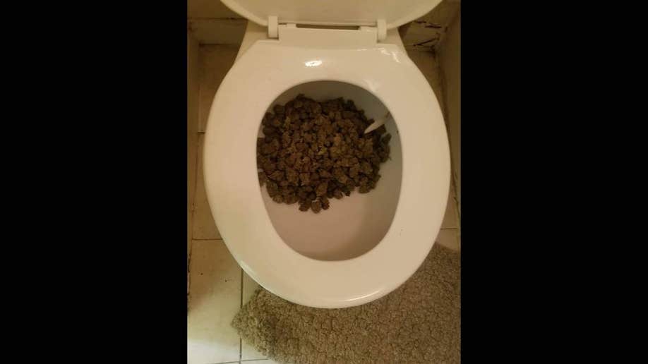 Weed toilet drug bust Georgia