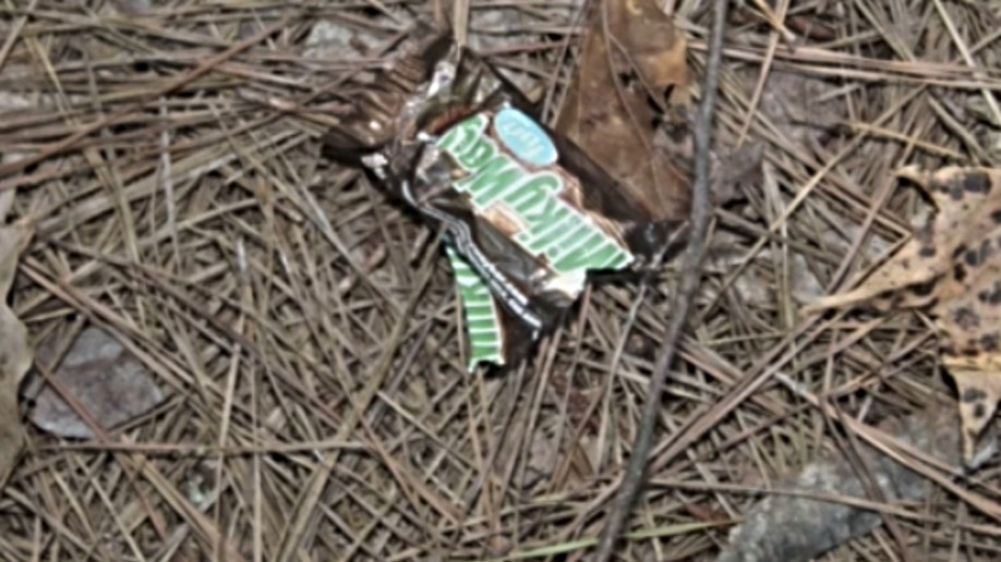 Milkyway wrapper in the woods