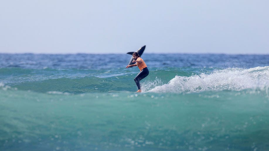 Surfer on his board as shark jumps up behind him