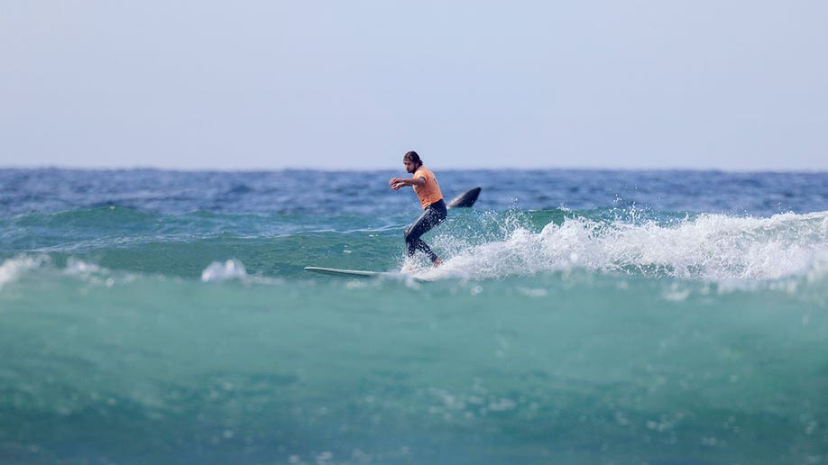 Surfer on his board as shark jumps up behind him