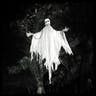 Skeletal ghost figure in tree